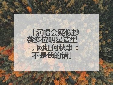 演唱会疑似抄袭多位明星造型，网红何秋亊：不是我的错