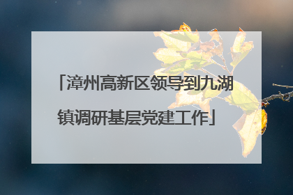 漳州高新区领导到九湖镇调研基层党建工作