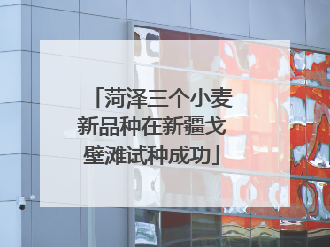 菏泽三个小麦新品种在新疆戈壁滩试种成功