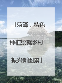 菏泽：特色种植绘就乡村振兴新图景