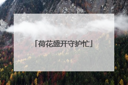 荷花盛开守护忙