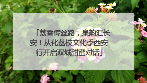 荔香传丝路，泉韵汇长安！从化荔枝文化季西安行开启双城甜蜜对话