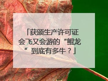 获颁生产许可证 会飞又会游的“鲲龙”到底有多牛？