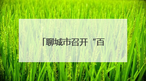 聊城市召开“百吨王”货车专项治理工作部署会议
