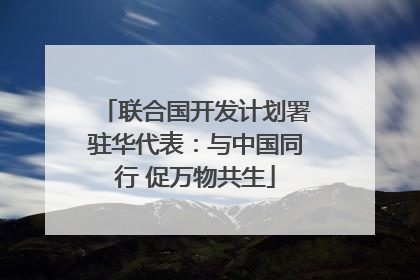 联合国开发计划署驻华代表：与中国同行 促万物共生