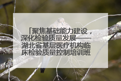 聚焦基础能力建设，深化检验质量发展——湖北省基层医疗机构临床检验质量控制培训班（孝感站）成功举办