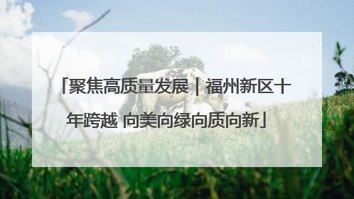 聚焦高质量发展｜福州新区十年跨越 向美向绿向质向新