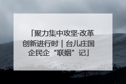 聚力集中攻坚·改革创新进行时｜台儿庄国企民企“联姻”记