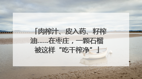 肉榨汁、皮入药、籽榨油……在枣庄，一颗石榴被这样“吃干榨净”
