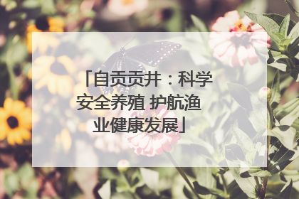 自贡贡井：科学安全养殖 护航渔业健康发展