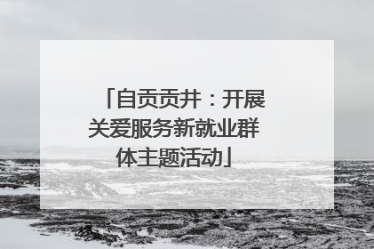 自贡贡井：开展关爱服务新就业群体主题活动