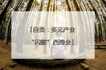 自贡：多元产业“闪耀”西博会
