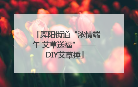 舞阳街道“浓情端午 艾草送福”——DIY艾草捶