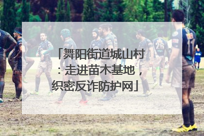 舞阳街道城山村：走进苗木基地，织密反诈防护网