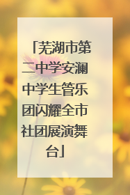 芜湖市第二中学安澜中学生管乐团闪耀全市社团展演舞台