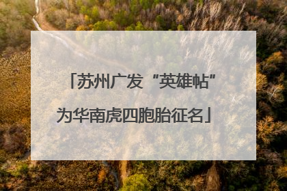苏州广发“英雄帖”为华南虎四胞胎征名
