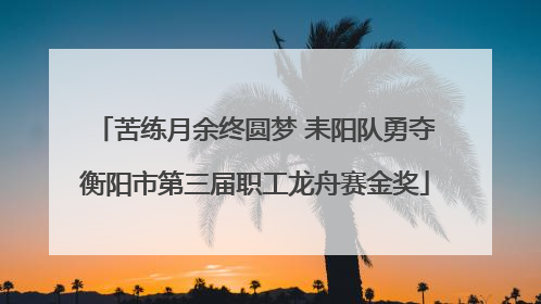 苦练月余终圆梦 耒阳队勇夺衡阳市第三届职工龙舟赛金奖