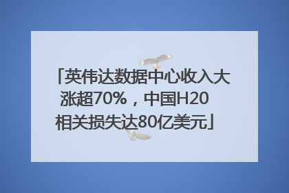 英伟达数据中心收入大涨超70%，中国H20相关损失达80亿美元