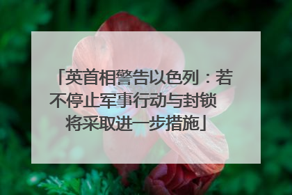 英首相警告以色列：若不停止军事行动与封锁 将采取进一步措施