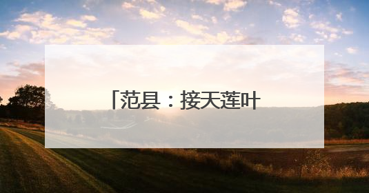 范县：接天莲叶无穷碧 “民主之花”别样红