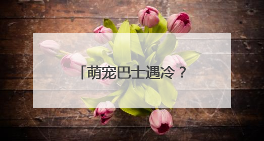 萌宠巴士遇冷？合肥公交：满10位乘客才发车！