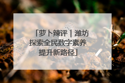 萝卜辣评｜潍坊探索全民数字素养提升新路径