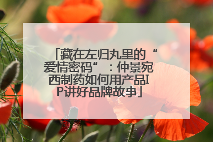 藏在左归丸里的“爱情密码”：仲景宛西制药如何用产品IP讲好品牌故事