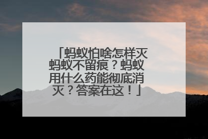 蚂蚁怕啥怎样灭蚂蚁不留痕？蚂蚁用什么药能彻底消灭？答案在这！