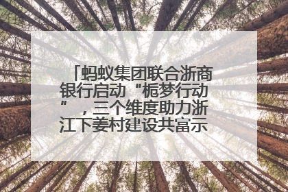 蚂蚁集团联合浙商银行启动“栀梦行动”，三个维度助力浙江下姜村建设共富示范区示范点
