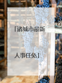 诸城市最新人事任免