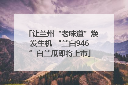 让兰州“老味道”焕发生机 “兰白946”白兰瓜即将上市