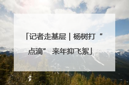 记者走基层｜杨树打“点滴” 来年抑飞絮