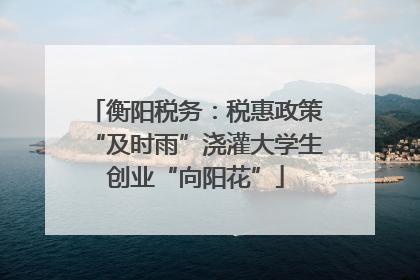 衡阳税务：税惠政策“及时雨”浇灌大学生创业“向阳花”
