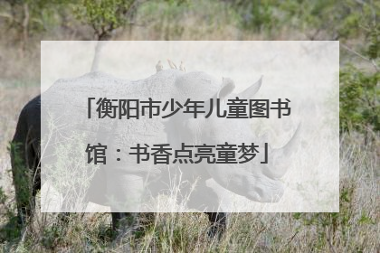 衡阳市少年儿童图书馆：书香点亮童梦