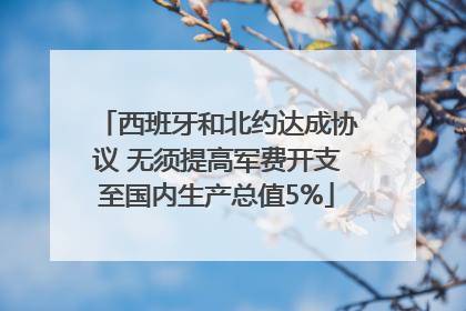 西班牙和北约达成协议 无须提高军费开支至国内生产总值5%