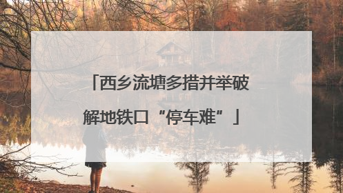 西乡流塘多措并举破解地铁口“停车难”