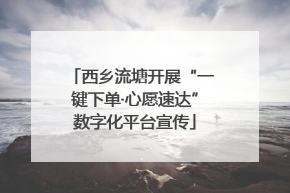 西乡流塘开展“一键下单·心愿速达”数字化平台宣传