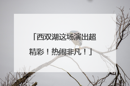 西双湖这场演出超精彩！热闹非凡！
