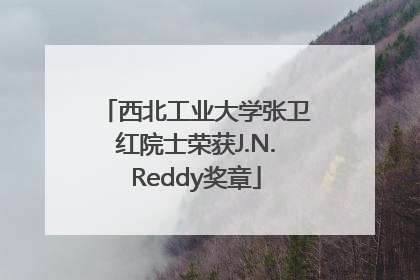 西北工业大学张卫红院士荣获J.N.Reddy奖章