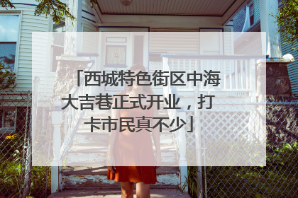 西城特色街区中海大吉巷正式开业，打卡市民真不少