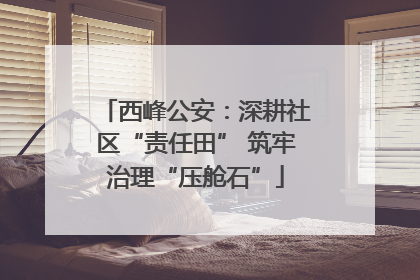 西峰公安：深耕社区“责任田” 筑牢治理“压舱石”