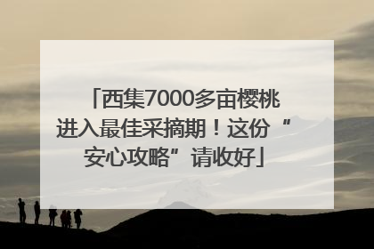 西集7000多亩樱桃进入最佳采摘期！这份“安心攻略”请收好