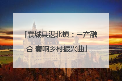 襄城县湛北镇：三产融合 奏响乡村振兴曲