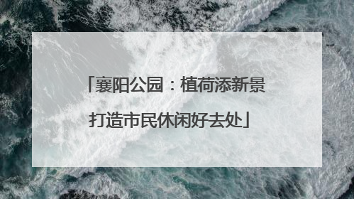 襄阳公园：植荷添新景 打造市民休闲好去处
