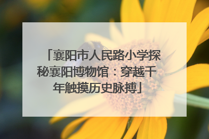 襄阳市人民路小学探秘襄阳博物馆：穿越千年触摸历史脉搏