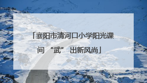 襄阳市清河口小学阳光课间 “武” 出新风尚