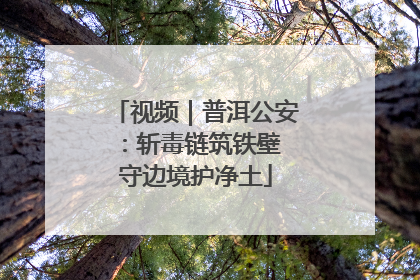 视频｜普洱公安：斩毒链筑铁壁 守边境护净土