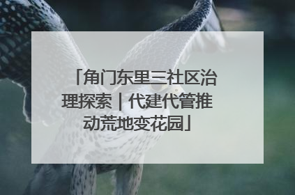 角门东里三社区治理探索｜代建代管推动荒地变花园