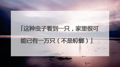 这种虫子看到一只，家里很可能已有一万只（不是蟑螂）
