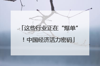 这些行业正在“爆单”！中国经济活力密码